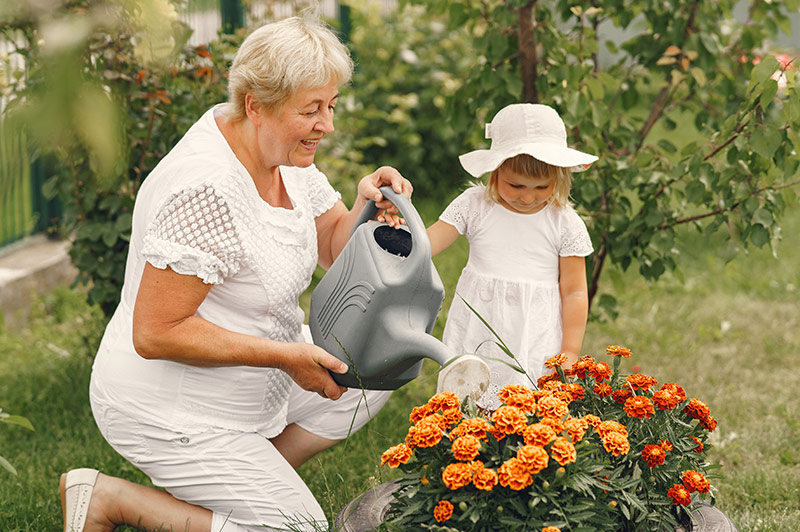 Así puede ayudar la jardinería a la gente mayor 1 Vida.es Los beneficios de trabajar en el jardín