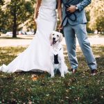 Cómo tu perro puede formar parte de tu boda