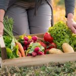 Lío en el supermercado: ¿qué diferencias hay entre alimentos bio, ecológicos y orgánicos?