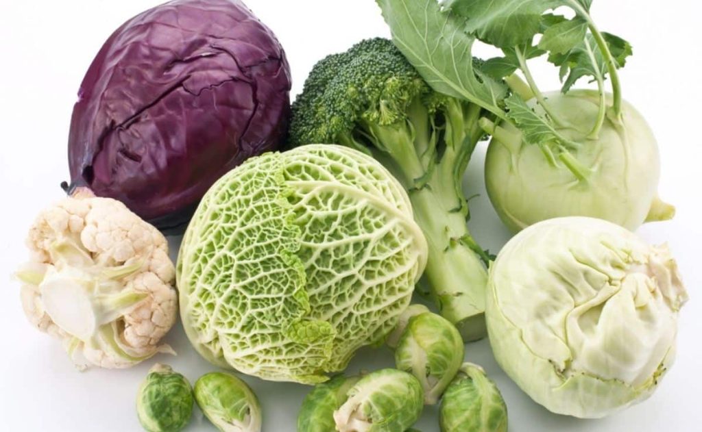 Por qué hay que incluir el repollo y col en tu dieta 1 Vida.es El repollo y sus variedades