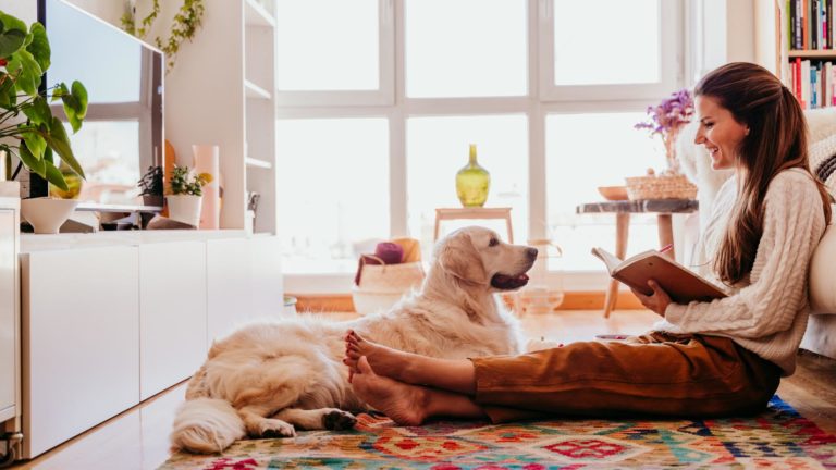 Un hogar limpio a pesar de tu mascota