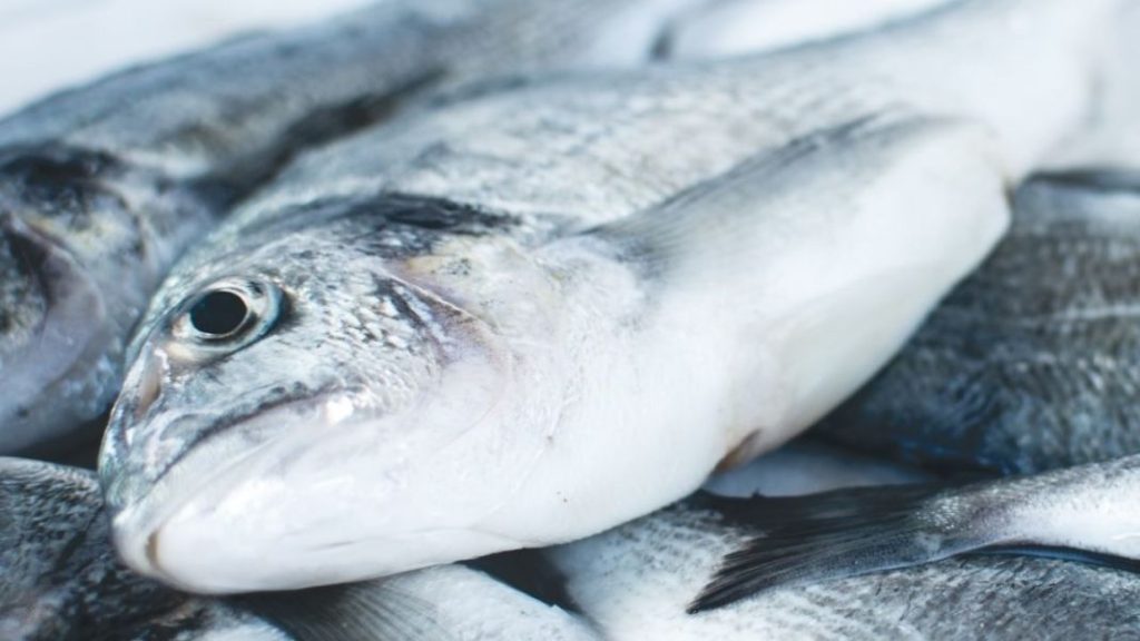 El truco para descongelar pescado sin que pierda su sabor 1 Vida.es Comprar un buen pescado
