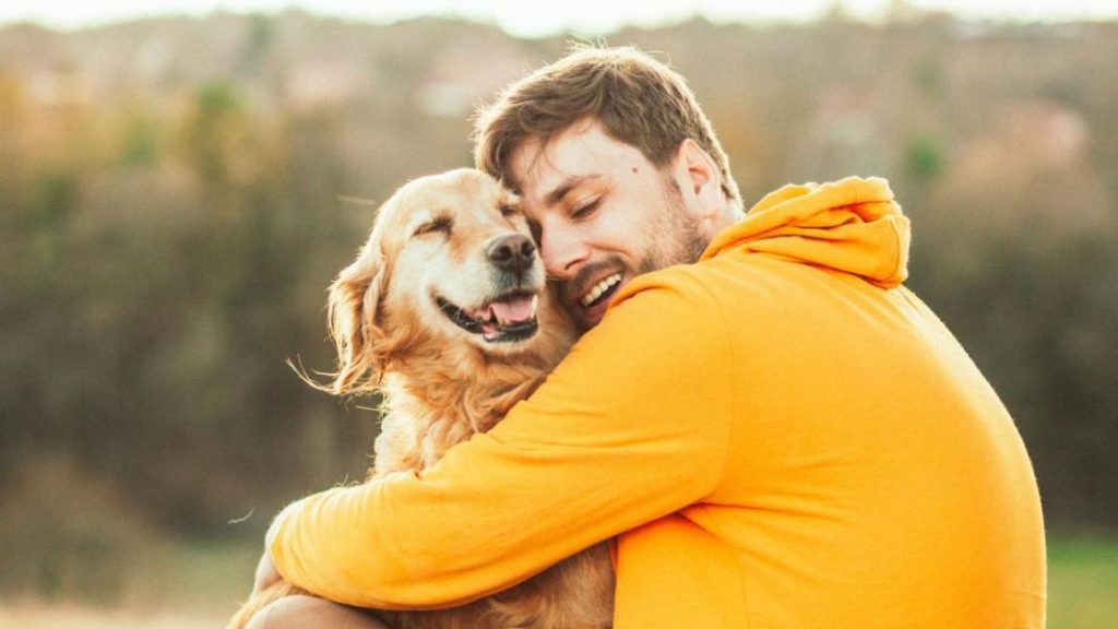  Haz sus propios juguetes para perros