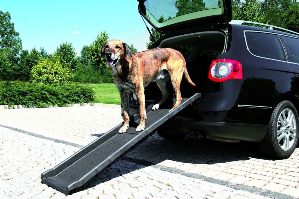 El invento de Lidl para viajar mejor con tu perro  1 Vida.es Rampa para perros