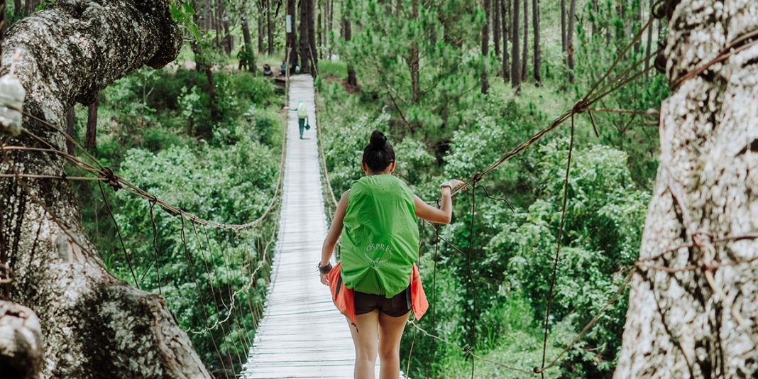 8 estrategias psicológicas para encontrar la calma 4 Vida.es Conectarse con la naturaleza