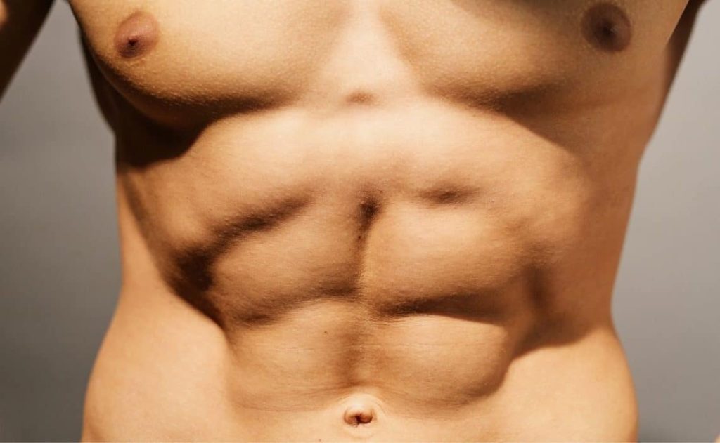¿Qué músculos abdominales hay?