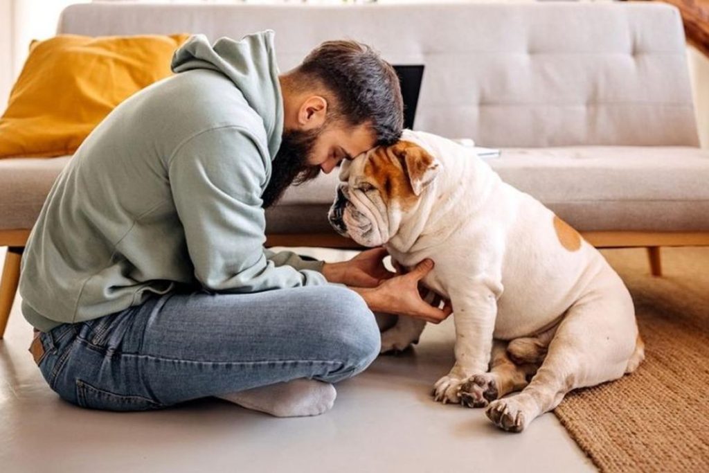 Consejos para separarte de tu perro en vacaciones 1 Vida.es Investigar opciones de cuidado de mascotas