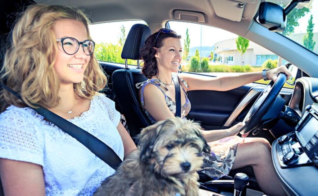 Esta es la multa que te pueden poner por no llevar bien a tu perro 1 Vida.es Obligaciones y responsabilidades del propietario de un perro en España