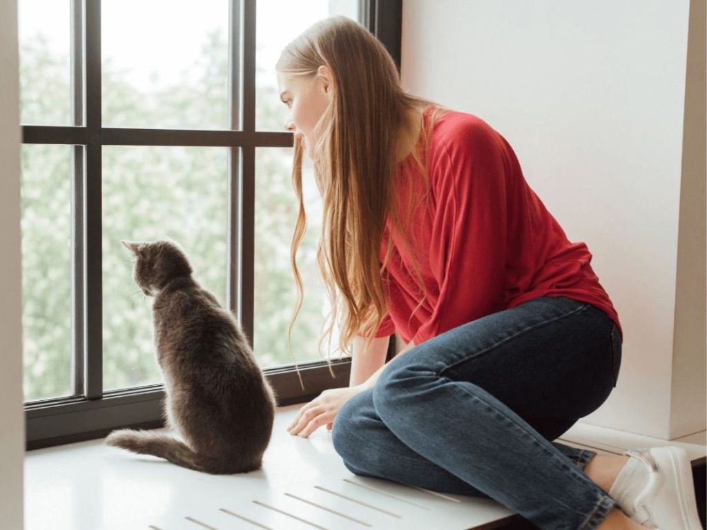Cómo evitar que tu gato se escape de casa 1 Vida.es Proporciona un espacio interior enriquecido