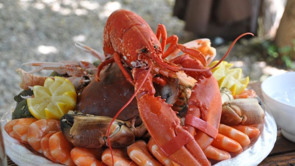 ¿Sabías que el marisco te ayuda a reducir el colesterol?: Descubre cómo 1 Vida.es Qué es el colesterol y por qué es importante controlarlo