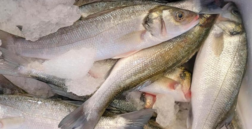 Pescados y otros alimentos ricos en omega-3