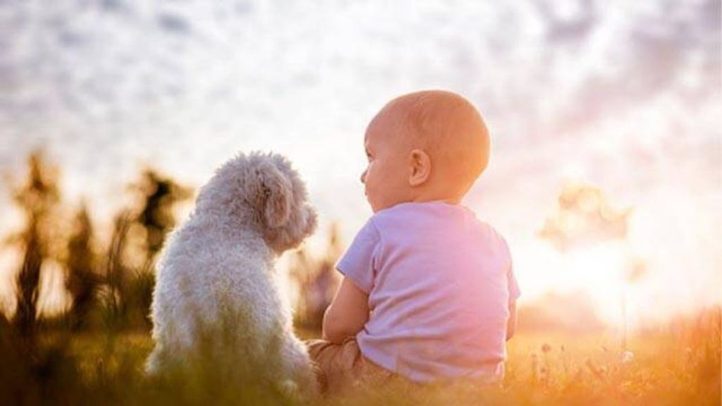 Los gatos y los perros pueden ayudar a proteger a tu bebé 1 Vida.es Beneficios para el sistema inmunológico del bebé