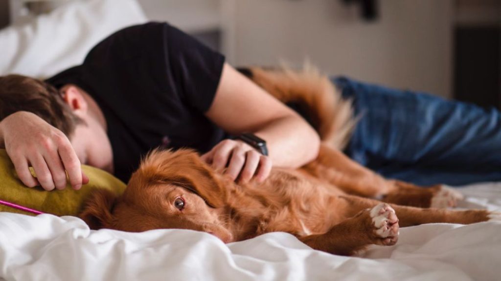 Sueño irregular ¿Puede causar demencia no dormir bien? Un nuevo estudio responde 1 Vida.es La importancia del sueño en nuestra salud cerebral