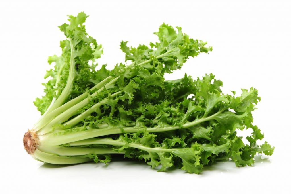 Beneficios de la escarola, un alimento antiinflamatorio ideal para tu corazón 4 Vida.es Promueve la salud ocular, un indicador de salud cardiovascular
