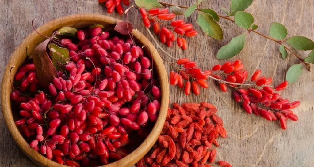 Remedios naturales para bajar los niveles de azúcar en sangre 3 Vida.es Berberina para mejorar la sensibilidad a la insulina