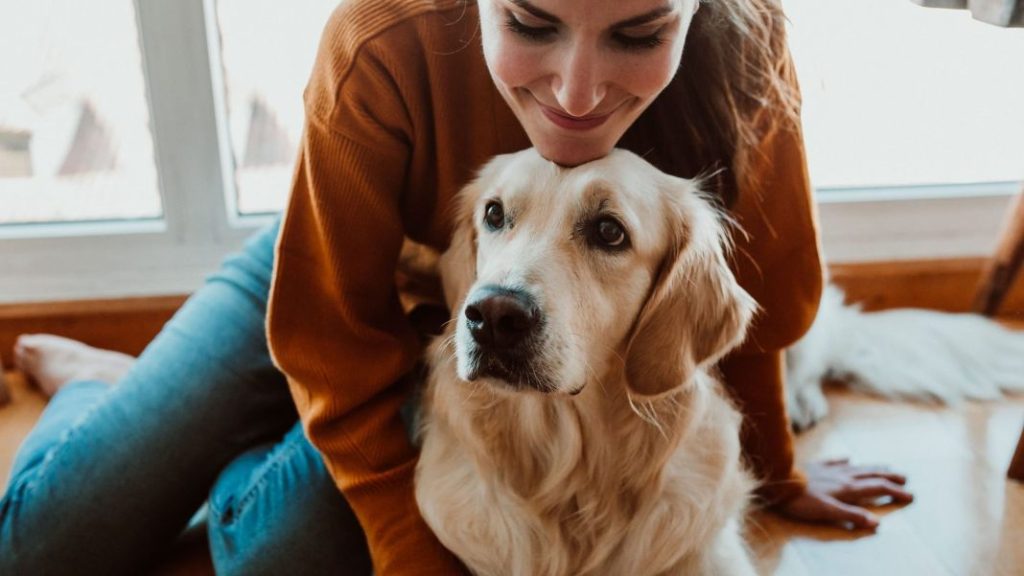 Por qué nunca debes cortar el bigote de tu perro 3 Vida.es Los bigotes son una parte integral de la identidad de tu perro