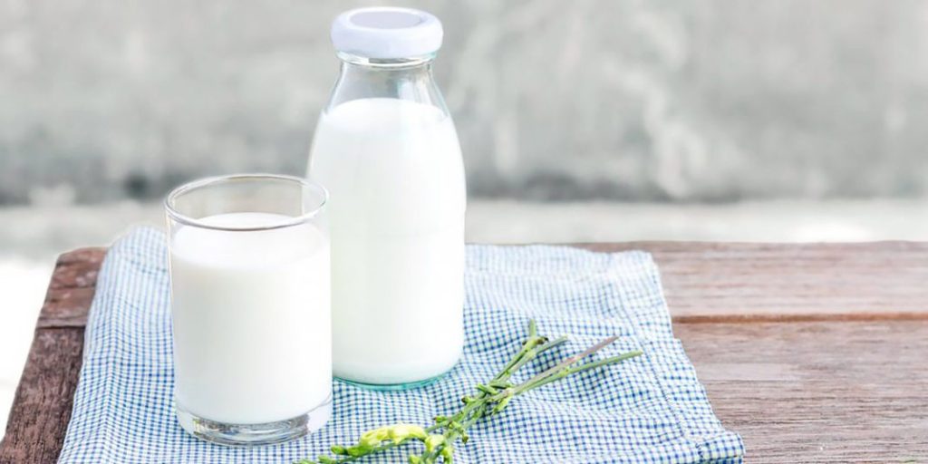 ¿Es realmente saludable la leche de vaca para las personas? 3 Vida.es Educación y conciencia sobre opciones alimentarias