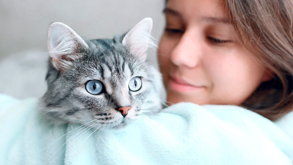 Adaptación de los gatos a cambios en su entorno y relaciones