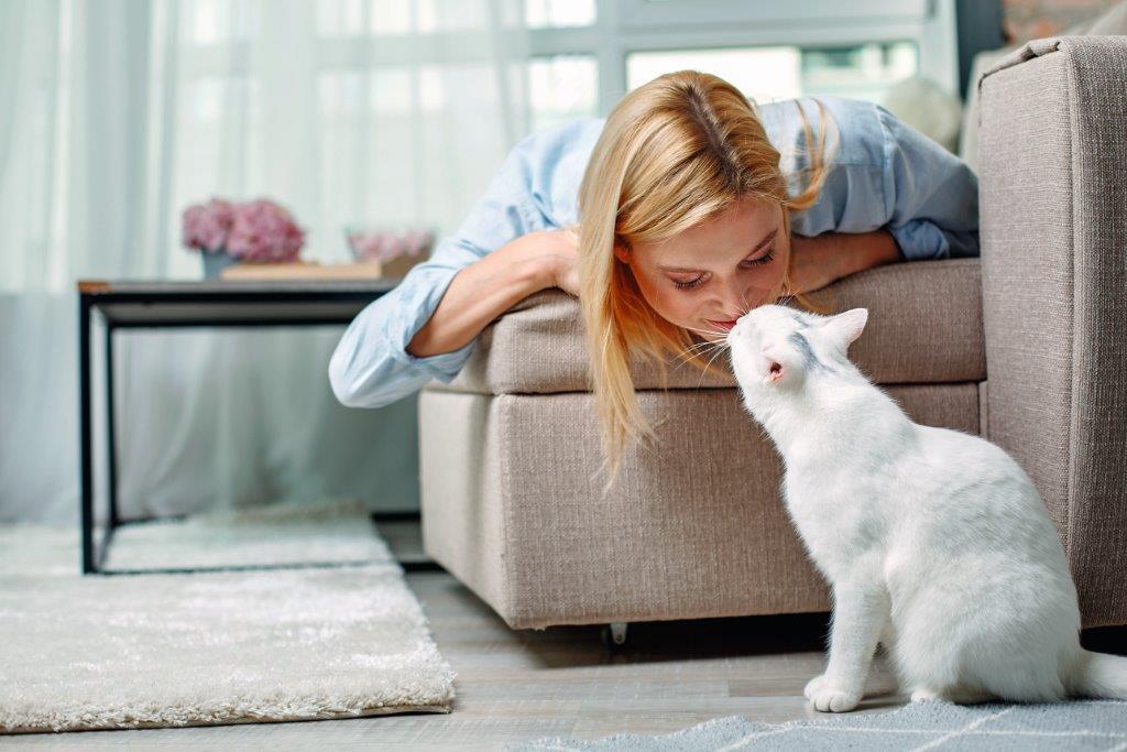 ¿Sabías que la nariz de tu gato te dice cómo está su salud? 3 Vida.es Importancia de la observación y la atención veterinaria